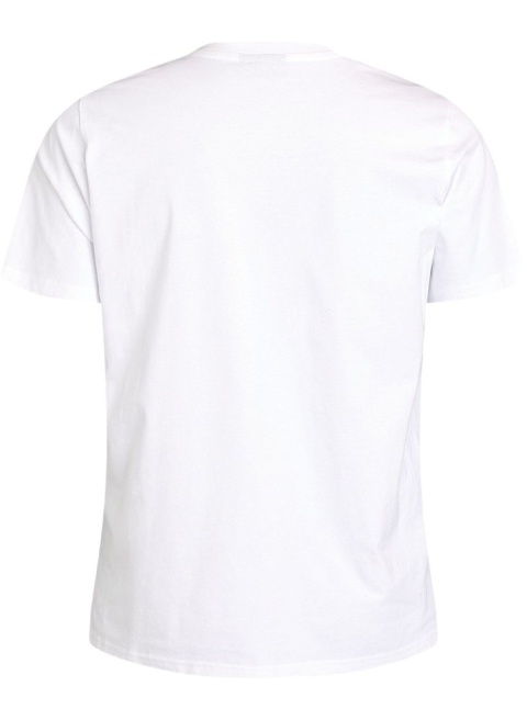 ZIZZI BIAŁY OTYMISTYCZNY T-SHIRT BLUZKA OWOCE 614A